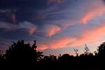 img_2950a.jpg