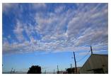 img_8941b.jpg