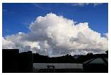 img_8970b.jpg